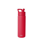 Summit Water Bottle with Straw Lid